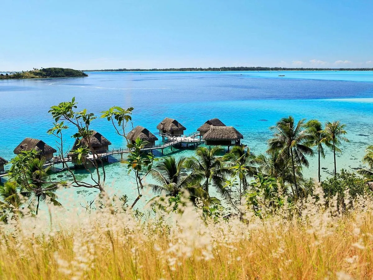 Love Island Bora Bora 0*,