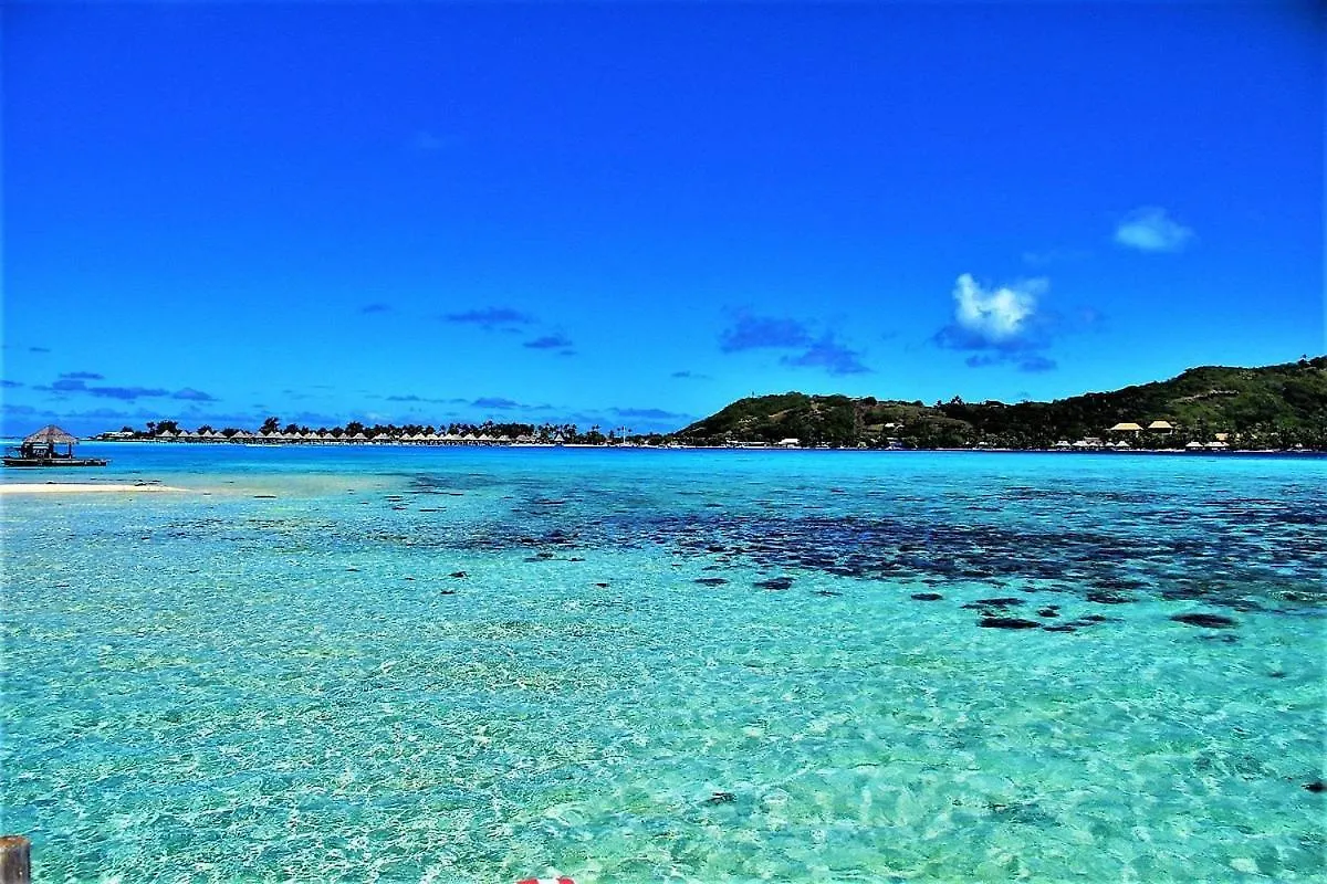 Love Island Bora Bora