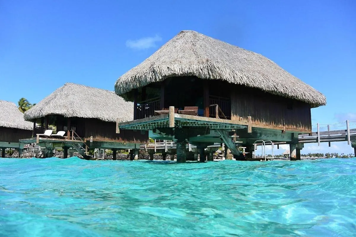 Love Island Bora Bora